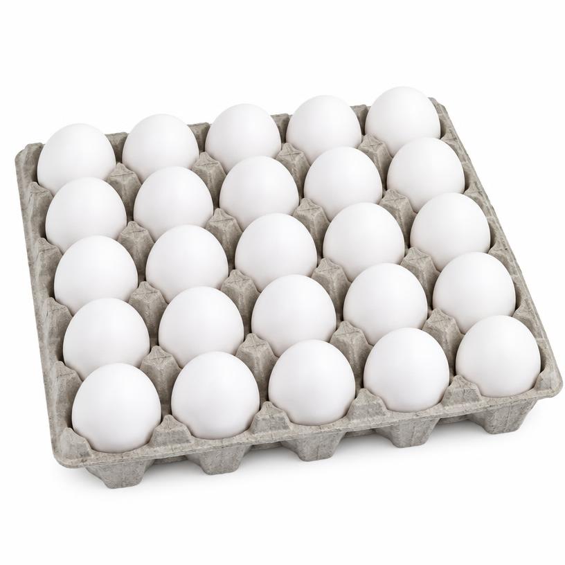 Ovos Brancos